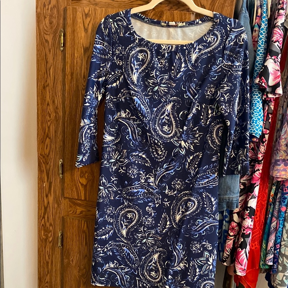 Blue Paisley Dress